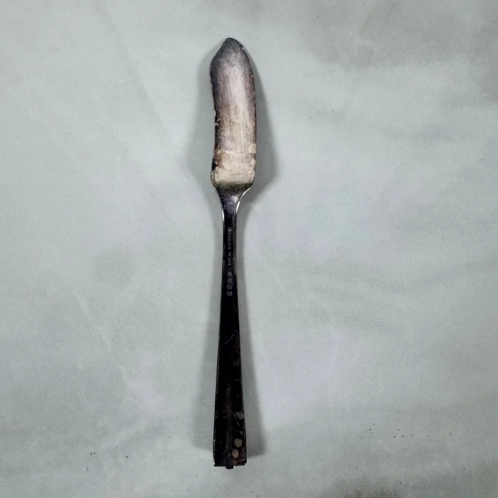 Oneida Nobility Plate Silver Plated‎ Master Butter Knife Caprice Floral Pattern